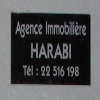 agence immobiliere harabi