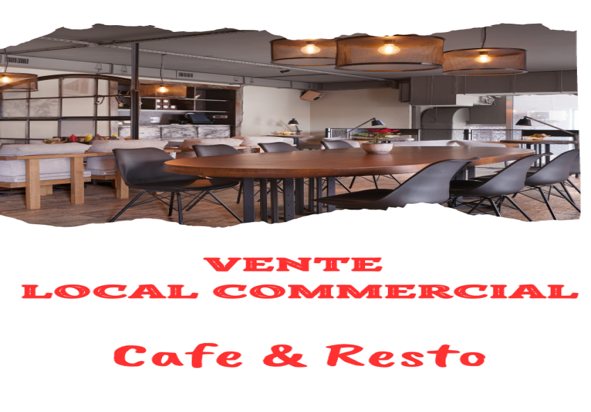 local commercial a vendre 3M810