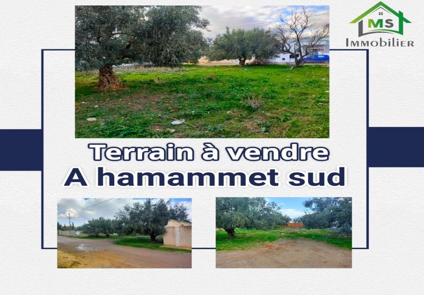 Terrain de 500 m² à vendre Hammamet Sud à 135 MD 51355351