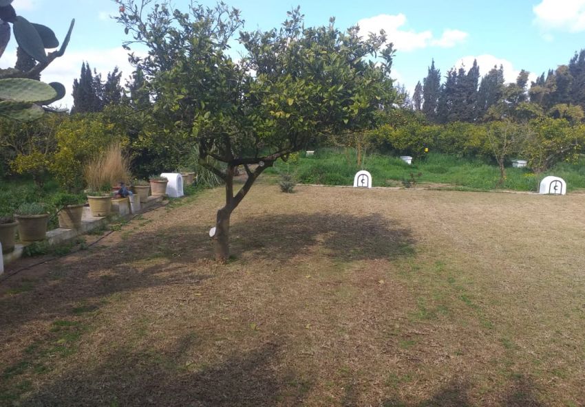 Sania clôturé de 2.5 hectares à Manzel Bouzalfa